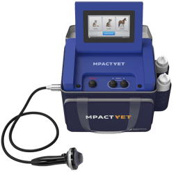 MPACTVET_IN-5200V-3_241119
