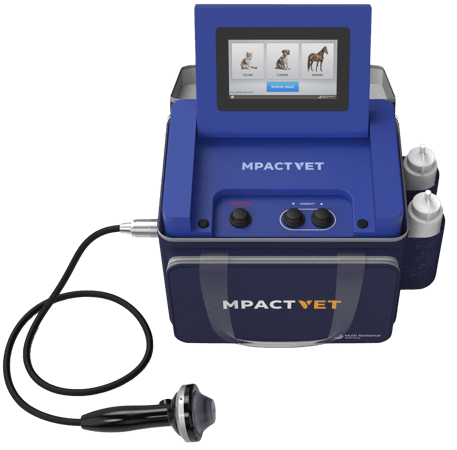 MPACTVET_IN-5200V-3_241119