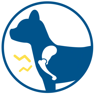 Rx_Laser_Icons_shoulder