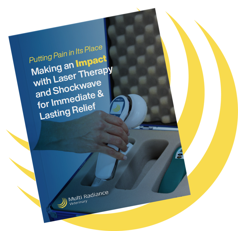 Putting Pain in Its Place - Making an IMPACT with Laser Therapy and Shockwave for Immediate & Lasting Relief eBook Thumbnail with Icon-1