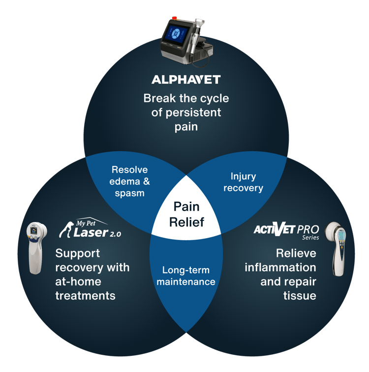 Venn_Vet-1